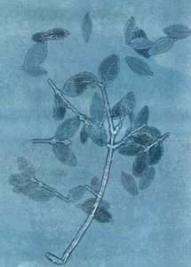Midnight Garden I, 2015 (monoprint på papper) av Stephen Dow