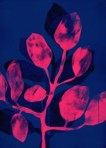 Summer Garden III rosa, 2018 (digital) av Stephen Dow