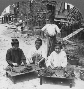 Att göra de enorma cigarrerna rökta av kvinnor, Burma, 1908