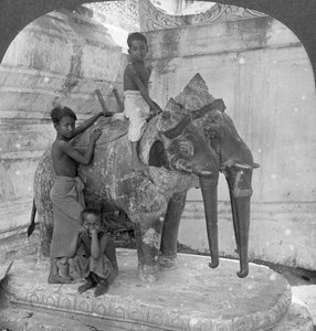 Trehövdad elefant som vaktar en fristad, Arakan Pagoda, Mandalay, Burma, 1908.