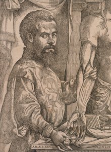 Andreas Vesalius dissekerar musklerna i underarmen på ett kadaver, 1543. av Steven van Calcar