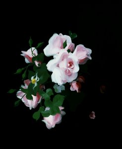 Rosa rosor. Målning av Stuart Park (1862-1933) Privat samling. av Stuart Park