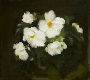 Vita rosor (olja på duk) av Stuart Park