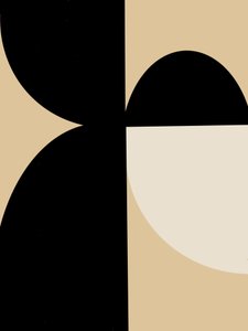 Abstrakta geometriska kurvor