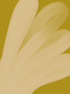 Sammanfattning: Golden Flow av Studio Palette