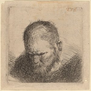 Skäggig Man Ser ner av Studio of Rembrandt van Rijn