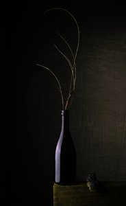 Stilleben med mörk flaska av Sumit Dhuper