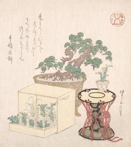 Krukad tall, trumma och sju örter planterad i en låda, 1700-1800-talet., 1700-1900-talet. av Sunayama Gosei