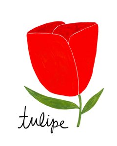 En livfull röd tulpan