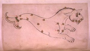 Konstellationer: Cetus, valen av Suvar Al-Kavakib