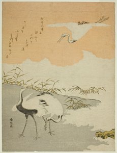 Tranor vid havet av Suzuki Harunobu