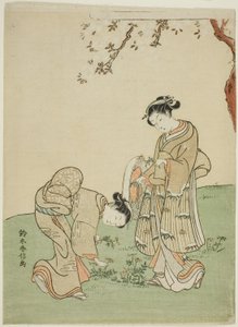 Samla vårblommor av Suzuki Harunobu