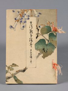 Nisshin sensō emaki (Striden mellan Japan och Kina), Volym 5, Heijō no kan (Ping Yang)