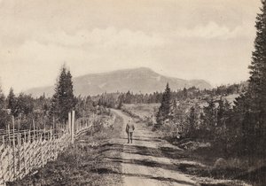 Sverige / Sweden: Jamtland, Areskutan Fran Undersaker (b/w photo) av Swedish Photographer