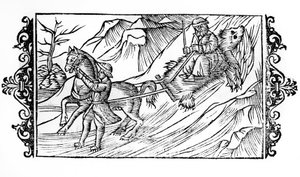 Häst som släpar på snön ett björnskinn på vilket en finska sitter - i "" De Gentibus septentrionalibus"" av ärkebiskopen Olaus Magnus, Sverige av Swedish School