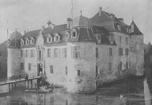 Chateau de Bottmingen, pres Bale (s/v foto) av Swiss Photographer