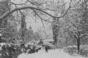 Neuchatel, The English Garden (s/v foto) av Swiss Photographer