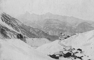 Wiesen före Davos (s/v foto) av Swiss Photographer