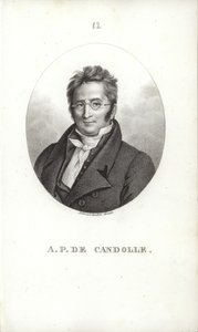 Augustin Pyramus de Candolle av Swiss School