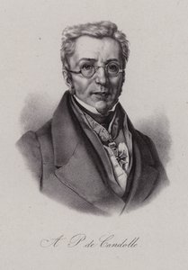 Augustin Pyramus från Kuba, schweizisk botaniker (gravyr) av Swiss School