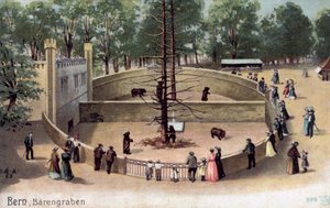 Bern, Bear Garden (färg litho) av Swiss School