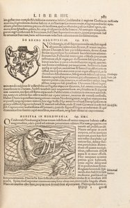 Sida 983 från Cosmographiae Universalis av Sebastian Muenster, Basel, 1572 av Swiss School