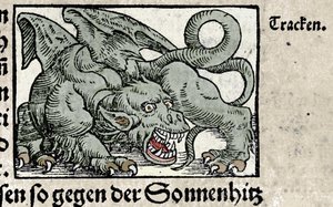 Representation av en drake: gravyr från Johann Stumpffs "Den Noble Strict Best Fromen". 1550 av Swiss School