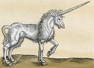 Enhörning, illustration från Historia Animalium av Conrad Gesner, 1551