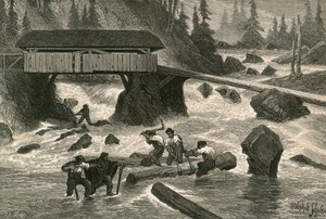Wood-Floaters av Swiss School