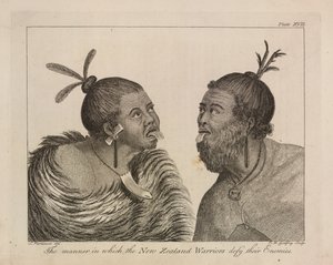 L.R.294.c.7, skylt XVII Nya Zeelands krigare