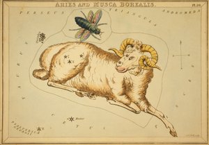 Väduren och Musca Borealis, Illustration från "Uranias spegel"