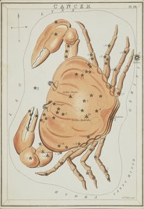 Kräftan, illustration från "Uranias spegel"