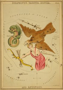 Delphinus, Sagitta, Aquila och Antinous, Illustration från 