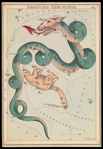 Draco och Lilla Ursa, ca 1825 (kort, papper, vävnad ) av Sydney Hall