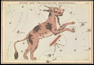 Lodjur och Telescopium Hereschilii, ca 1825 (kort, papper, vävnad ) av Sydney Hall