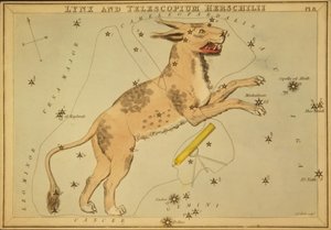 Lynx och Telescopium Herschilii, Illustration från 