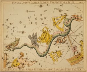 Noctua, Corvus, Crater, Sextans of Urania, Hydra, Felis, Lupus, Centaurus, Antlia Pneumatica, Argo Ship och Pyxis Nautica, Illustration från 