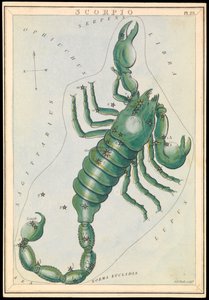 Scorpio, ca 1825 (kort, papper, vävnad )