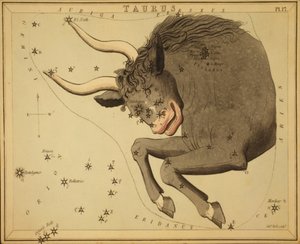Oxen, Illustration från 