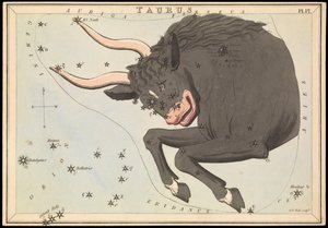 Taurus, ca 1825 (kort, papper, vävnad ) av Sydney Hall