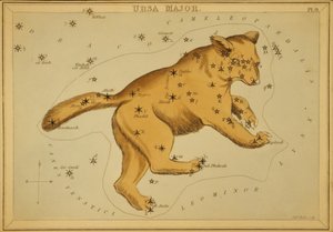 Ursa Major, Illustration från 