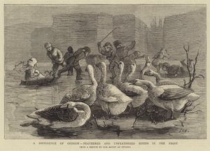 En åsiktsskillnad, fjäderbefjädrade och obefjädrade Bipeds in the Frost av Sydney Prior Hall