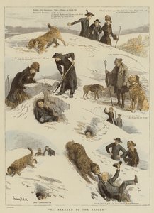 St Bernard till räddningen av Sydney Prior Hall