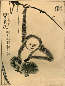 Monkey, 1720, 1924.