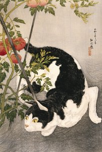 Cat prowling Around a staked tomatplant, 1931 (träblockstryck)