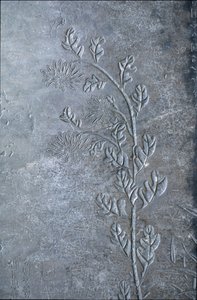 Stele graverad med en krisantem, blommor och löv, 618-907 (sten) av Tang Dynasty Chinese School