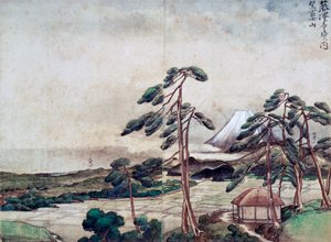 Utsikt över Kanagawa-kusten av Tani Buncho