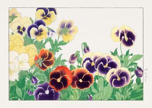 Vintage penséblomma från "Seiyou Sokazufu"