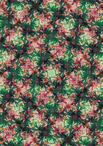 Tropisk palm