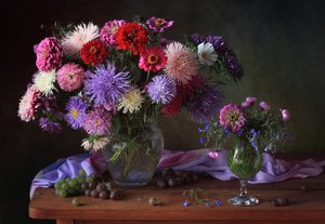 Stilbild av en färgsprakande aster av Tatyana Skorokhod